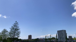 Thumbnail of post image 006